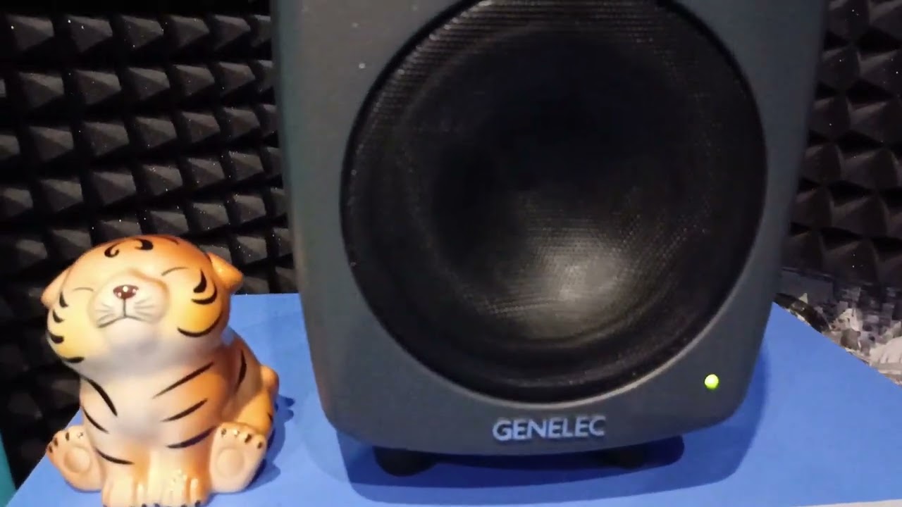 GENELEC 8040 BPM