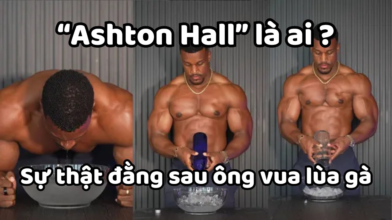 Ashton Hall là ai ? | Giải thích meme