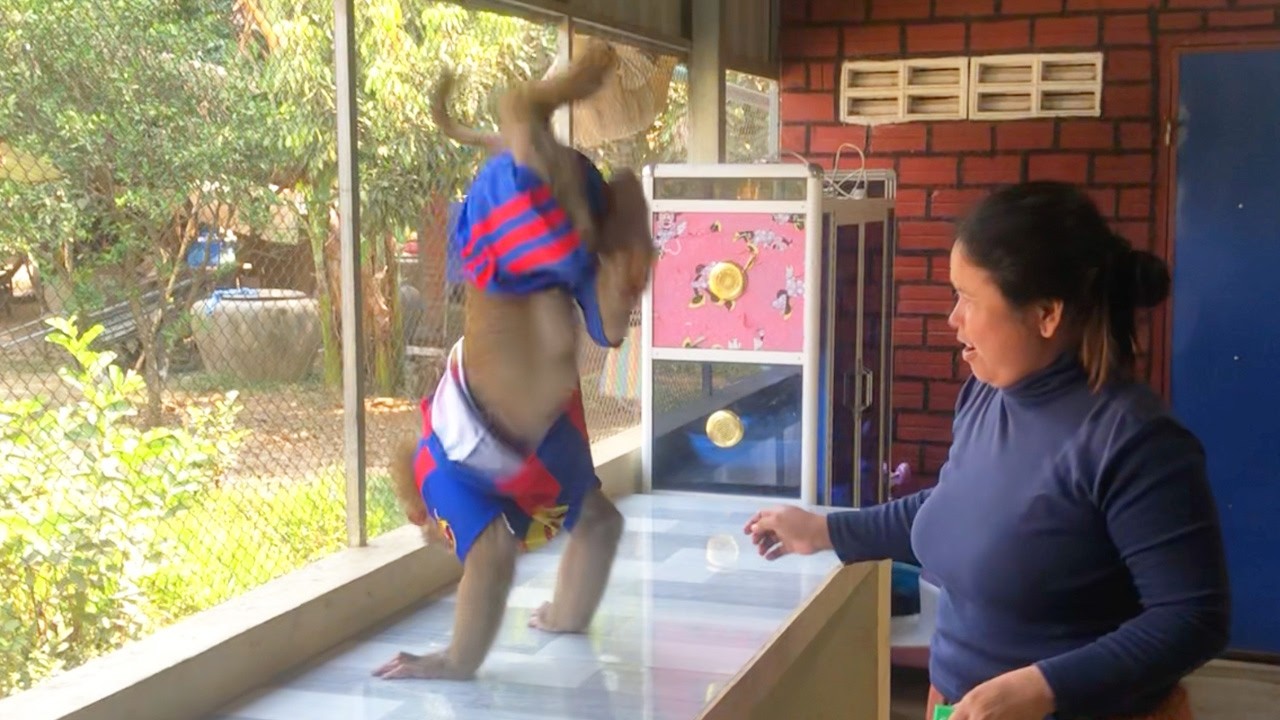 Jason Take Action Handstand To Steal Kick Mom After Missing Listen Neighbor Gossip