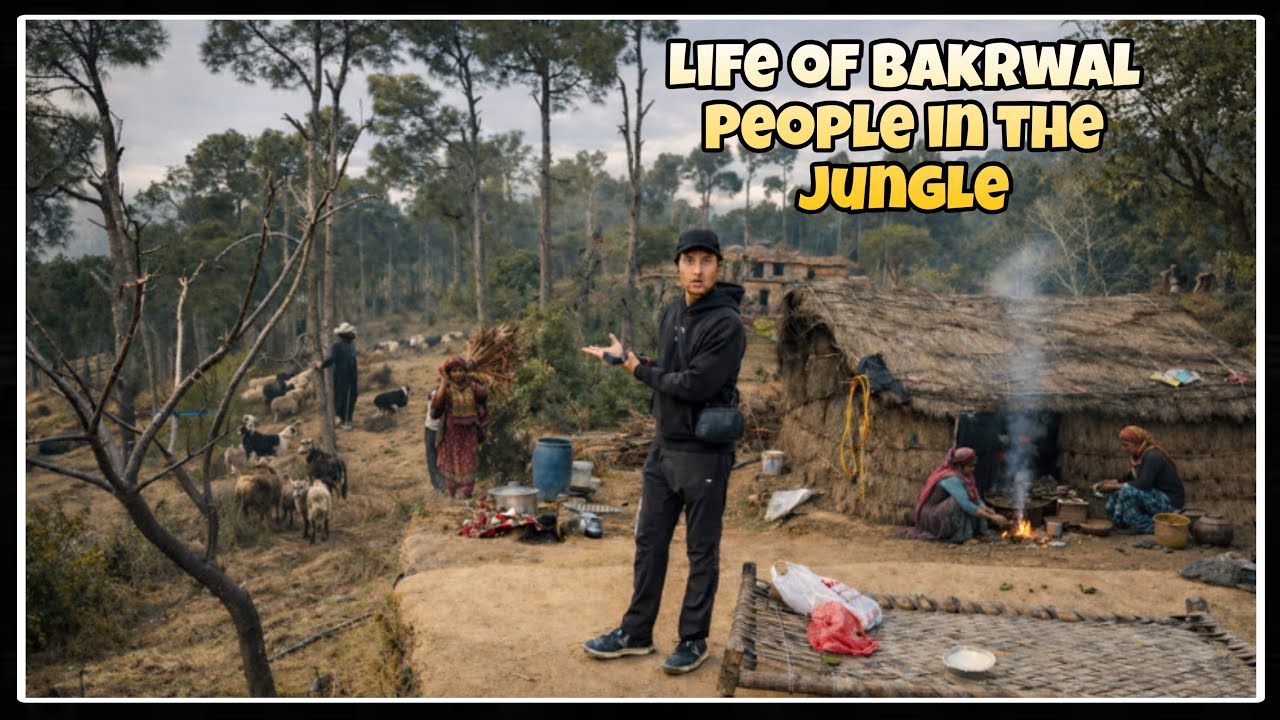 Living Completely Alone in the Mountains | Bakrwal Life in Azad Kashmir