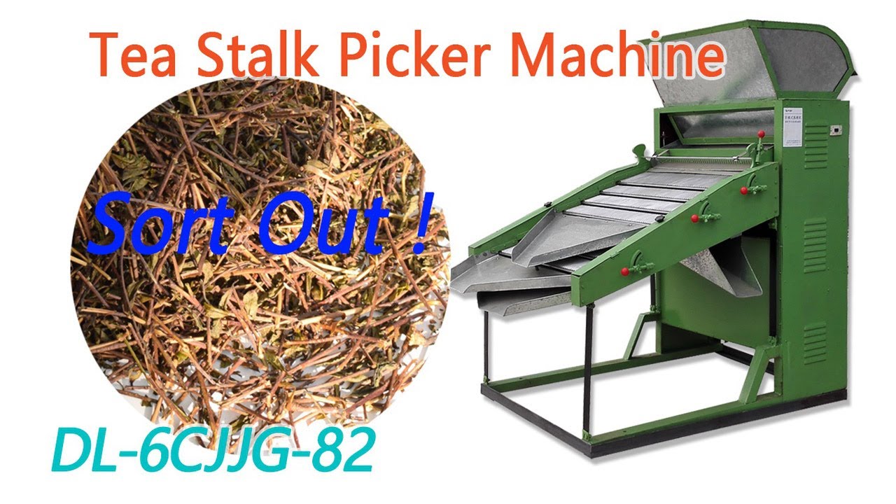 Shake Type Tea Stalk Picker Sorting Machine Tea Stalk Picker Leaf Stalks Pick Up Machine DL-6CJJG-80