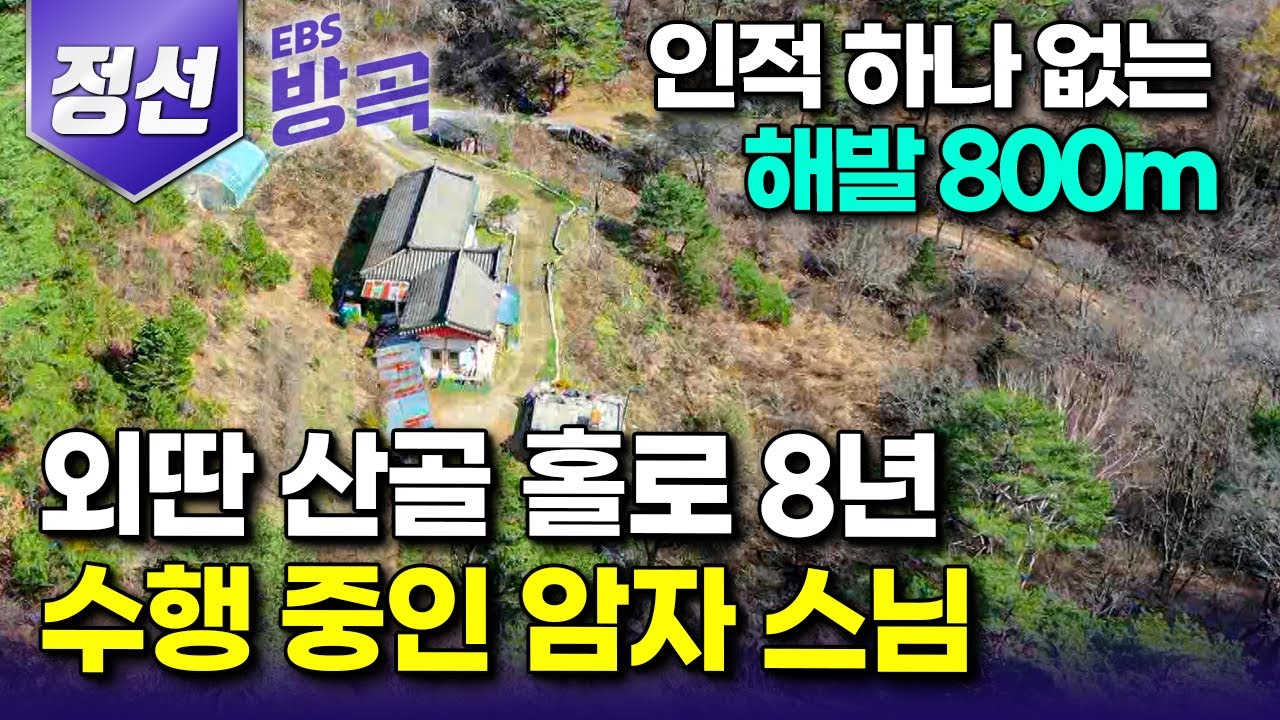 [강원 정선] '산과 구름 말곤 아무것도 없는 곳' 해발 800m 오지 중의 오지라 불리는 단임골 외딴 암자, 8년째 홀로 수행 중인 스님｜용잠선원｜#한국기행 #방방곡곡