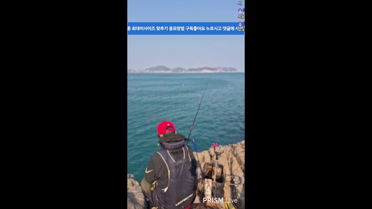 거제도 감성돔낚시 최대어 이벤트(레어화폐)선물! 받기!#바다낚시#감성돔#여행#힐링뷰