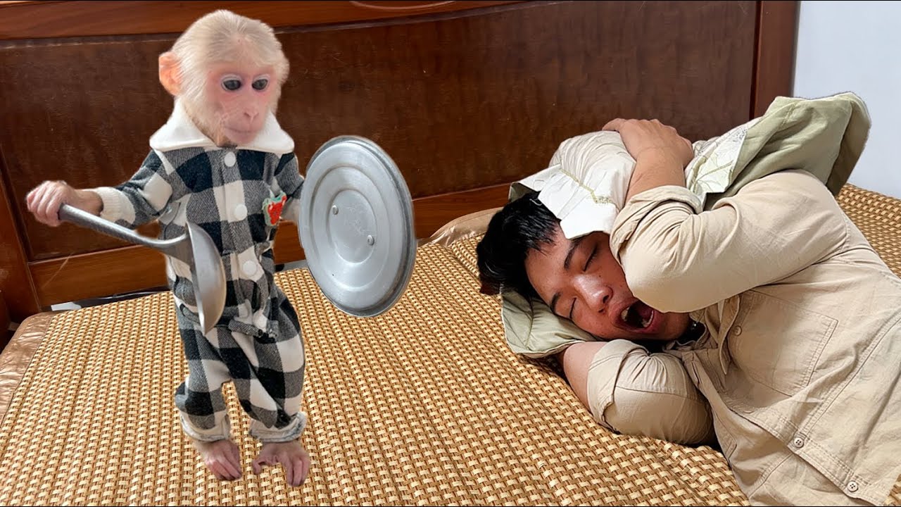 Super funny! Luk wakes Thang up to make breakfast this way