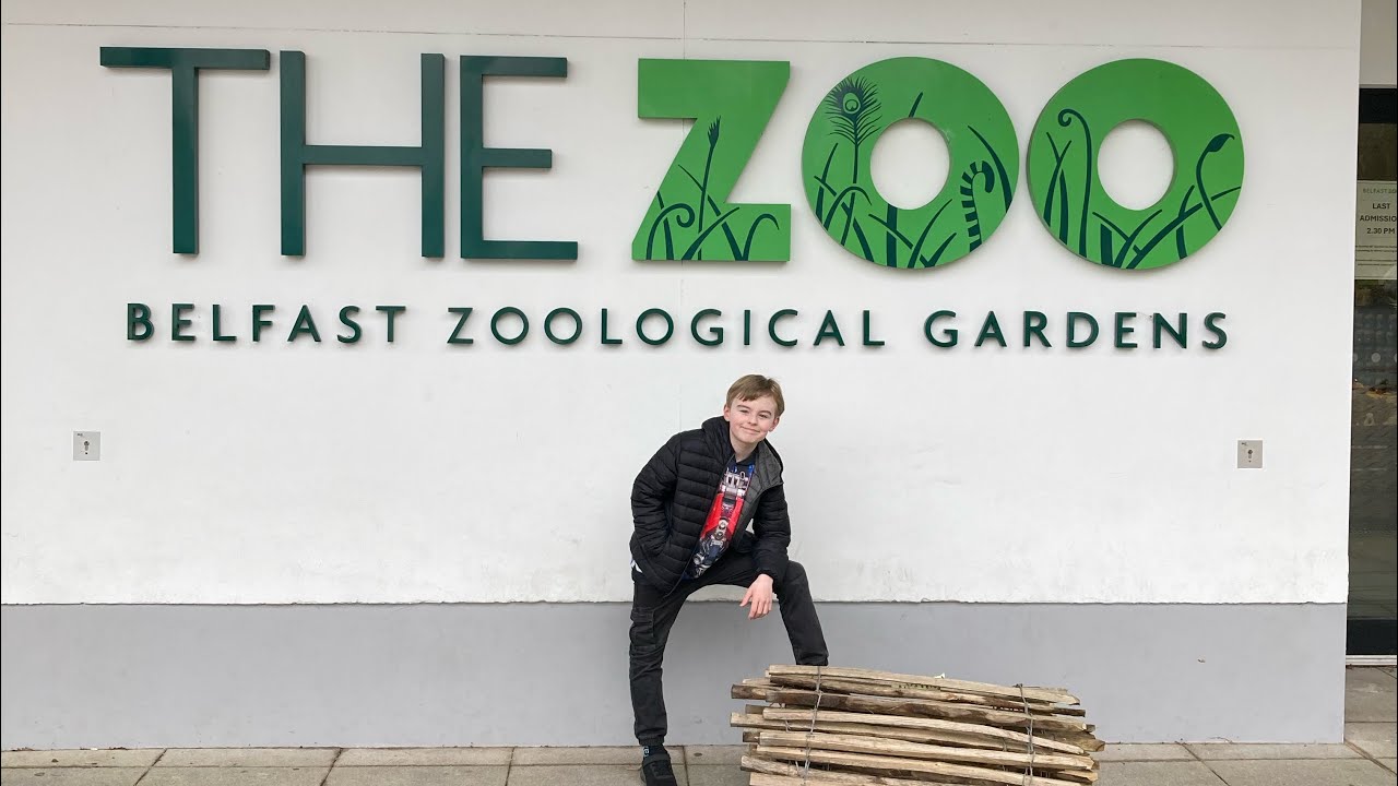 Part 1 of Belfasts zoo