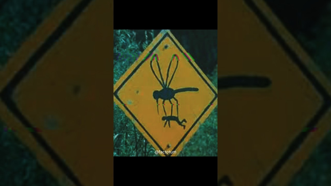 strange sign board on abandoned roads 😳🤯#scary
