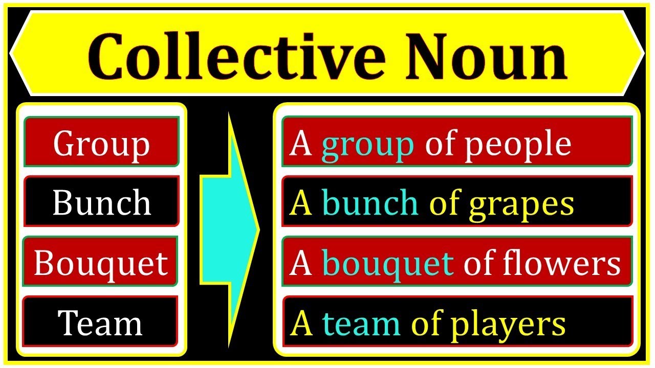 Collective Nouns : 100 most important Collective noun examples | Definition | Noun | English Grammar