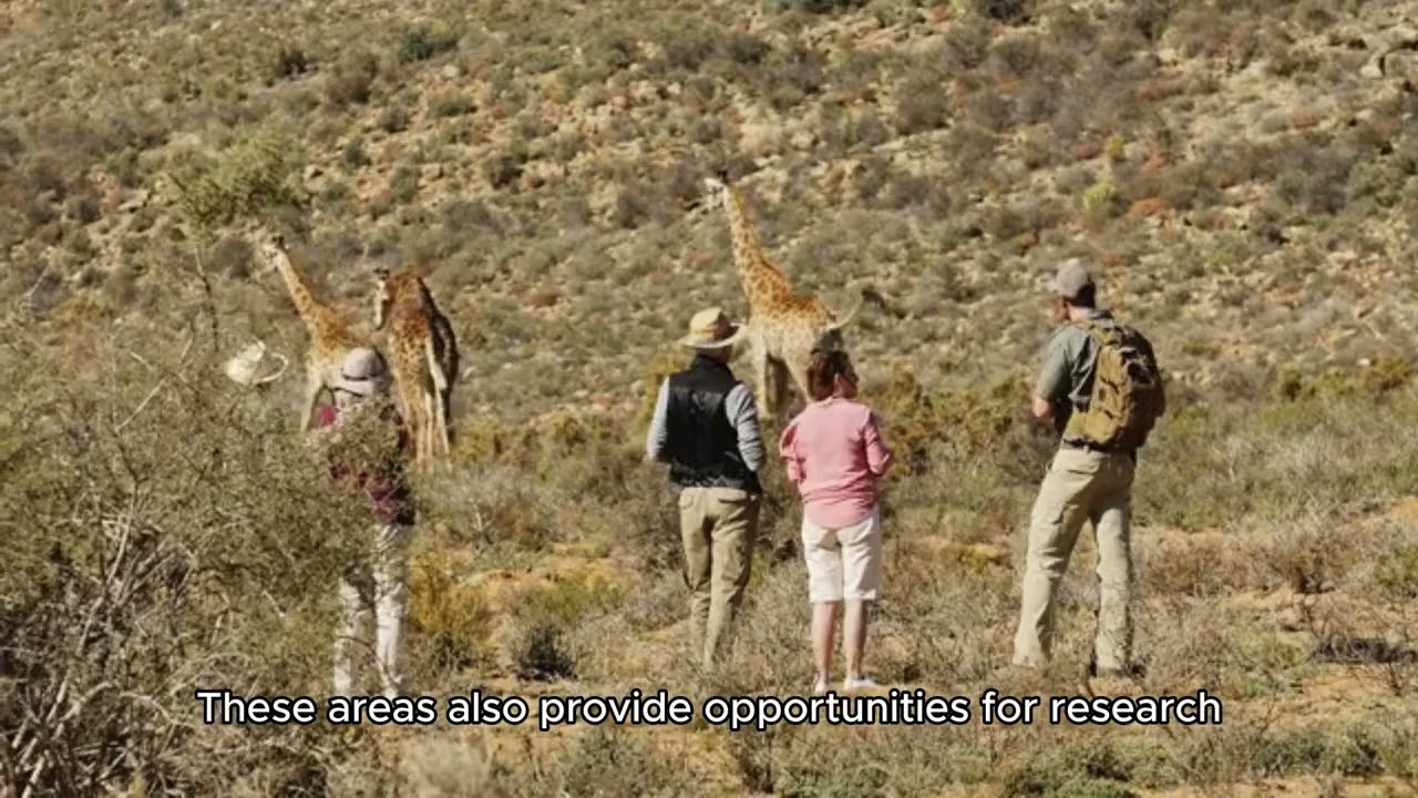 The Wonders of Wildlife and Its Role in Ecosystem Balance