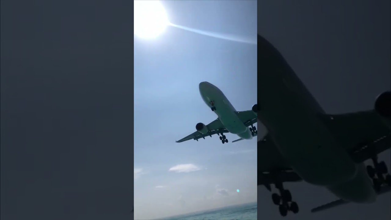 Airbus Made a Low Landing over a Beach