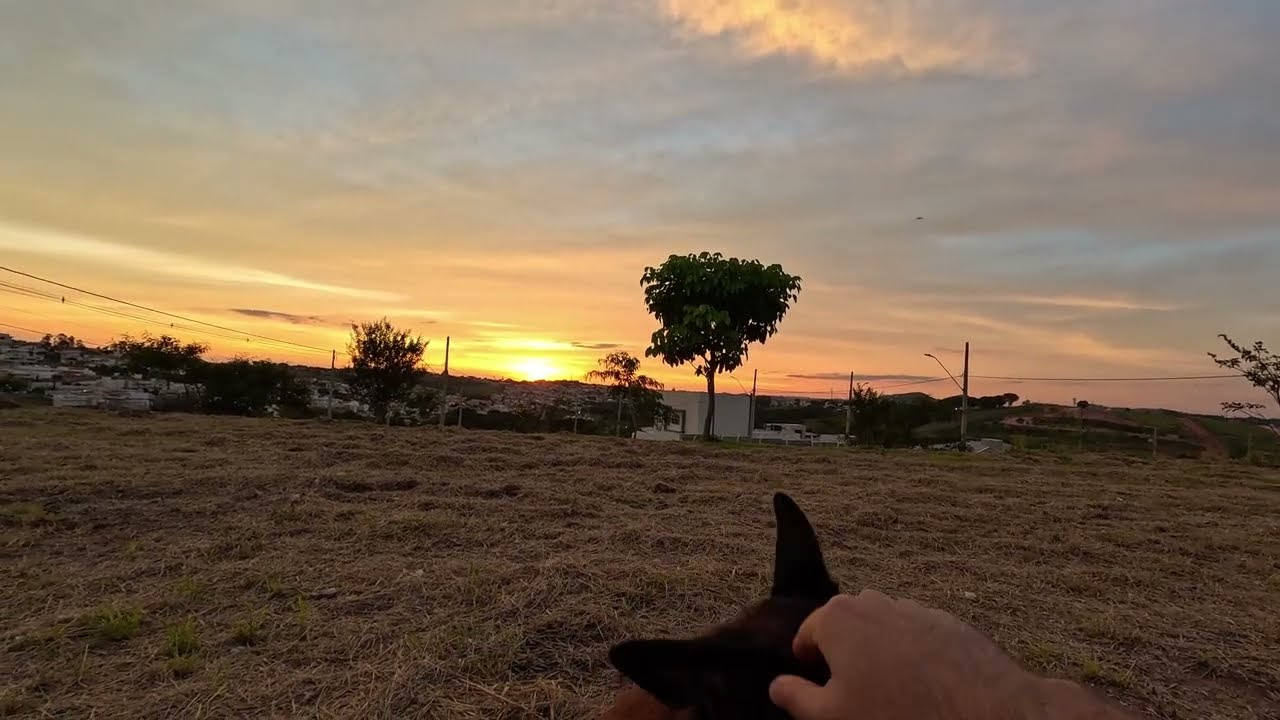 Controle seus pensamentos você não tem problemas