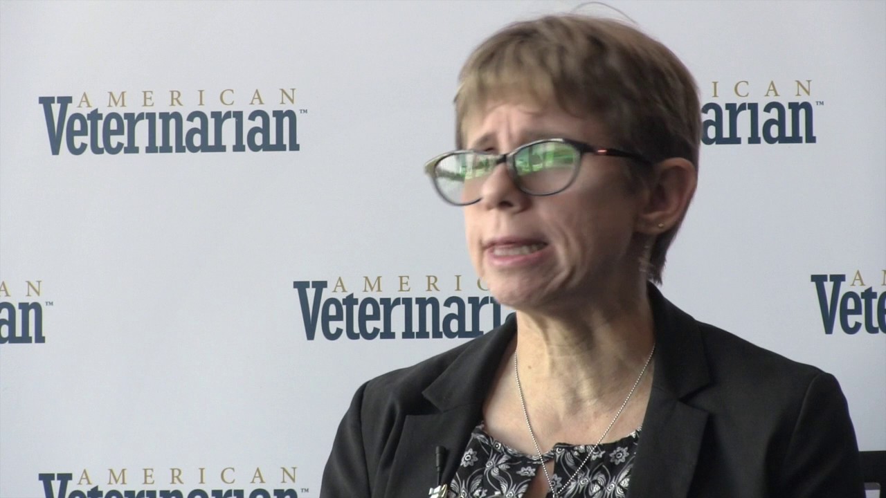Treatment of First-Time Obstructed Cats