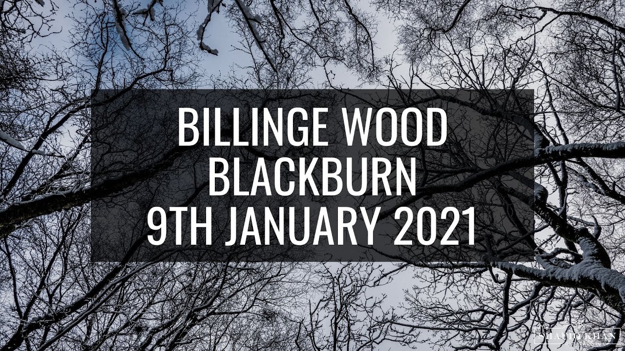 Billinge Wood, Blackburn - 9th January 2021