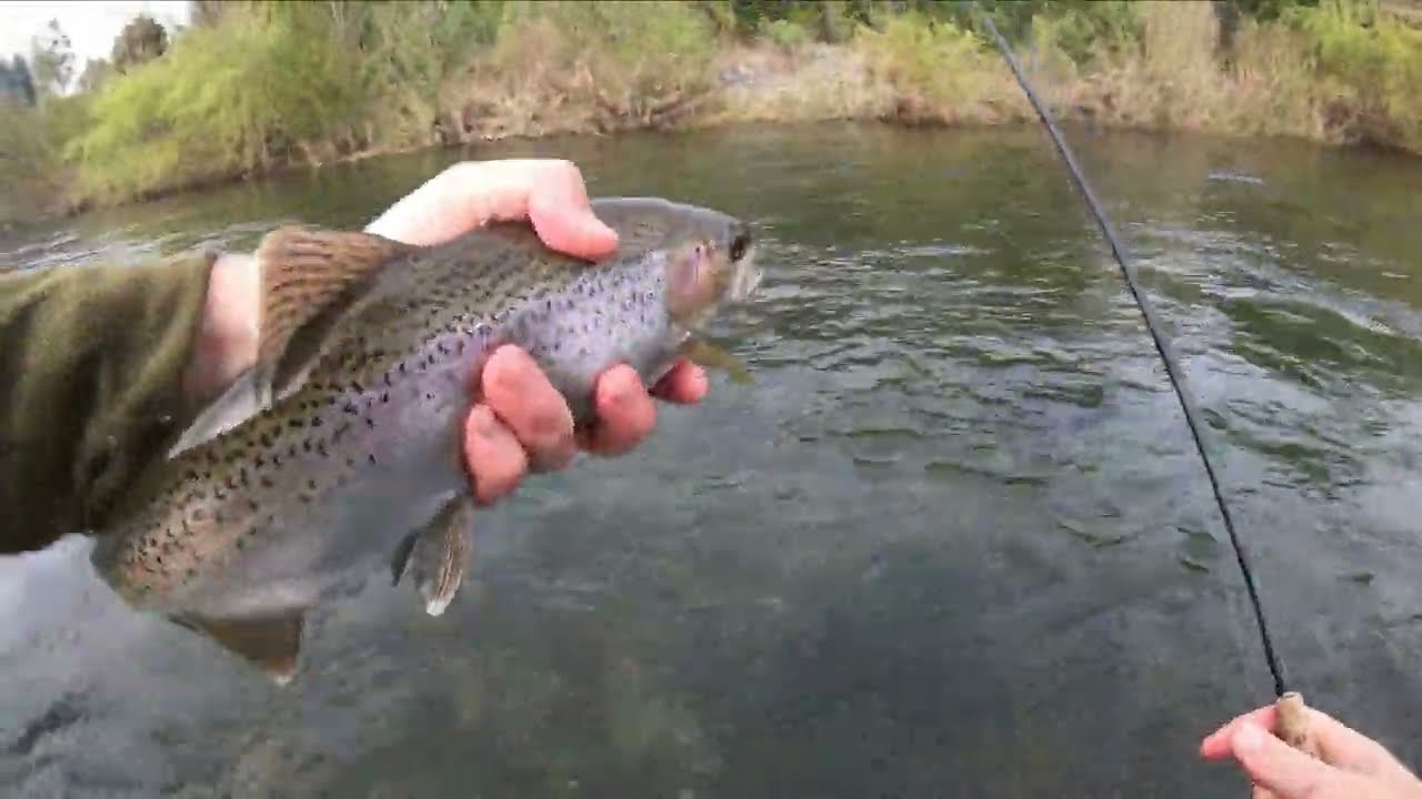 1 Hora de Pesca en el Río Quinchilca // Escenario de Competición