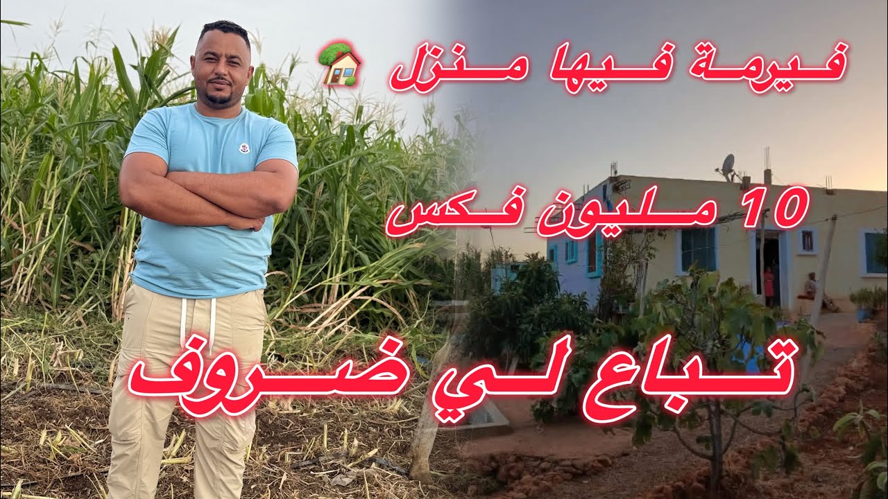 فيرمة صغيرة مساحتها 4000 متر ب 10 مليون فكس😱 فيها منزل 🏡 مستقل وكوري وجردة مخدرة اللهم بارك هوتا 🥰🥰