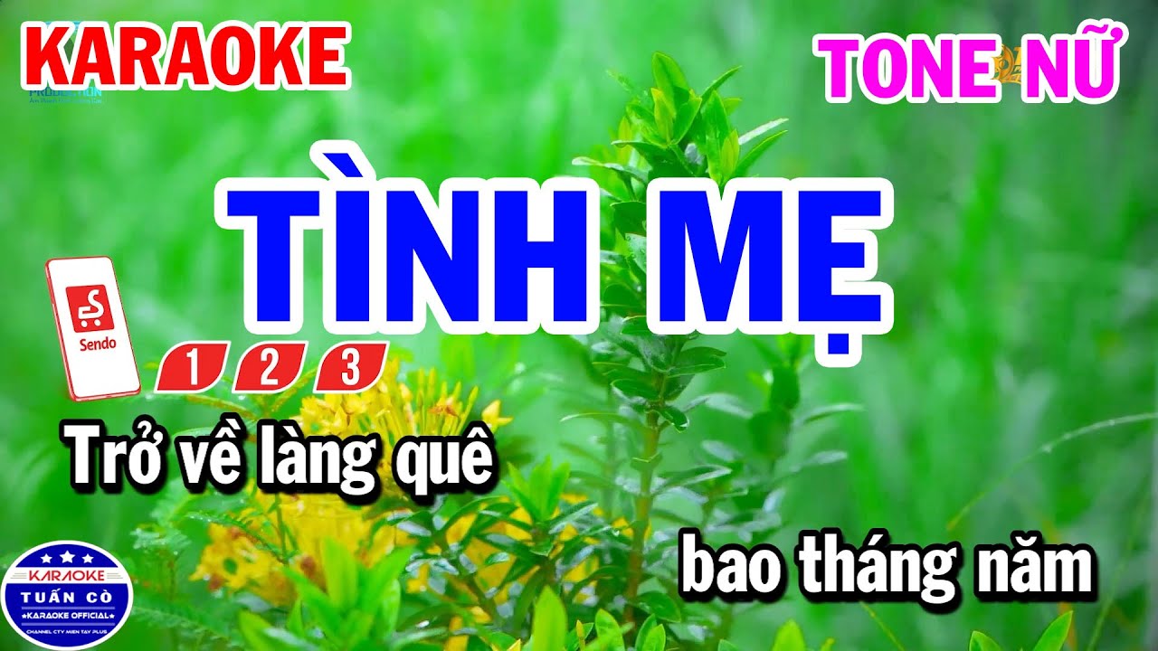 Karaoke Tình Mẹ Tone Nữ Nhạc Sống Dễ Ca
