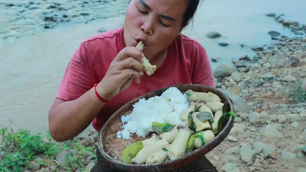 survival in the rainforest-found chicken for cook with mushroom & give to pets HD