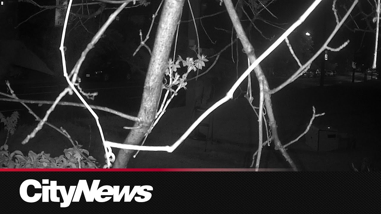 New video captures Parkside Drive speed camera being cut down