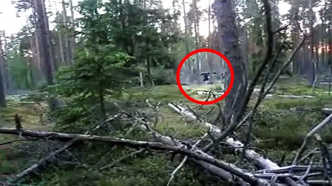 This Chilling Viral Video Taken In A Forest In Russia Is Freaking Out The Internet..