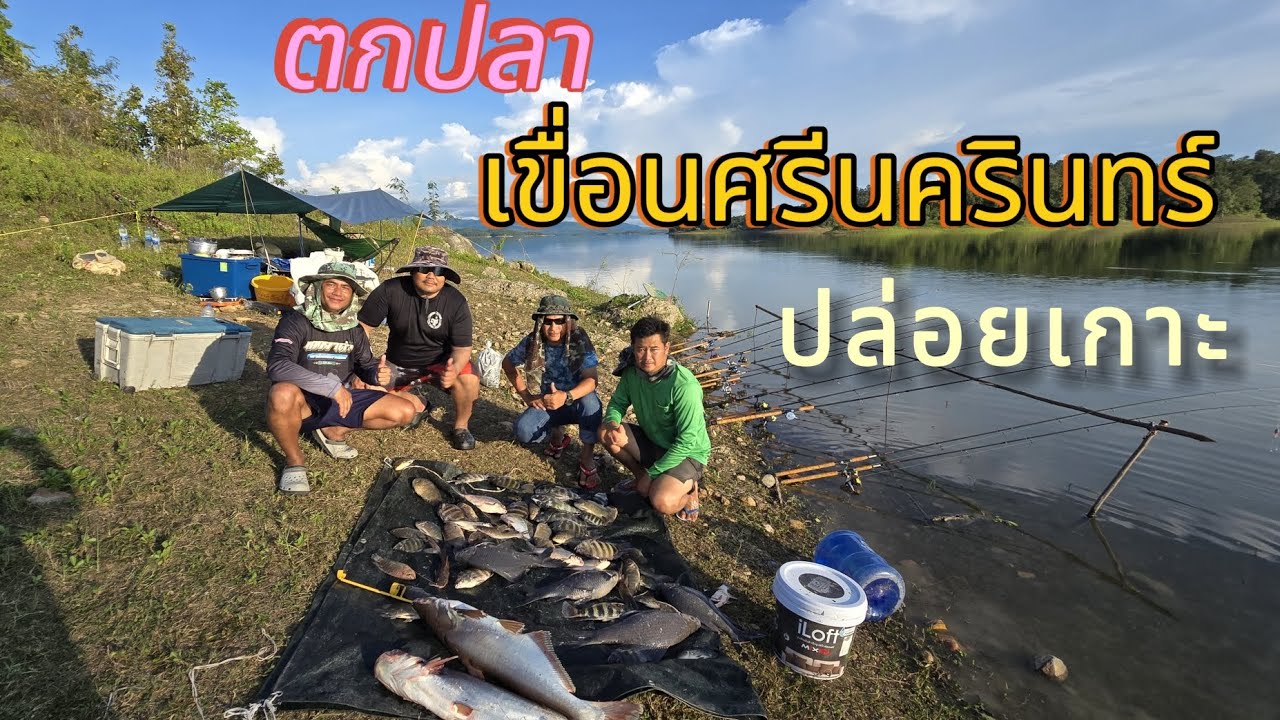 ตกปลา ปล่อยเกาะ เขื่อนศรีนครินทร์ หมาย#ไต๋ตั้ม ลูกแม่น้ำเขื่อนศรี