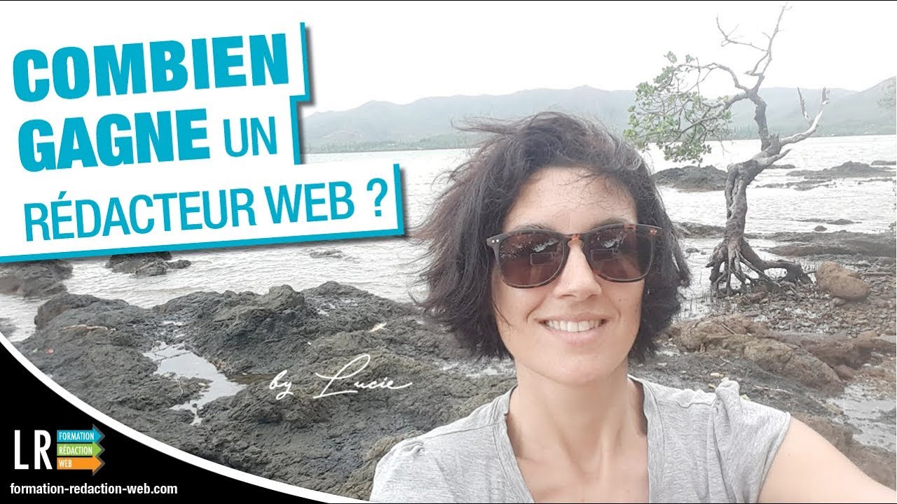Combien gagne un Rédacteur Web ? (27/100)