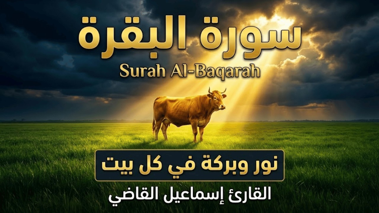 سورة البقرة كاملة بصوت إسماعيل القاضي | تلاوة خاشعة تستشعر فيها عظمة القرآن وطمأنينة القلب