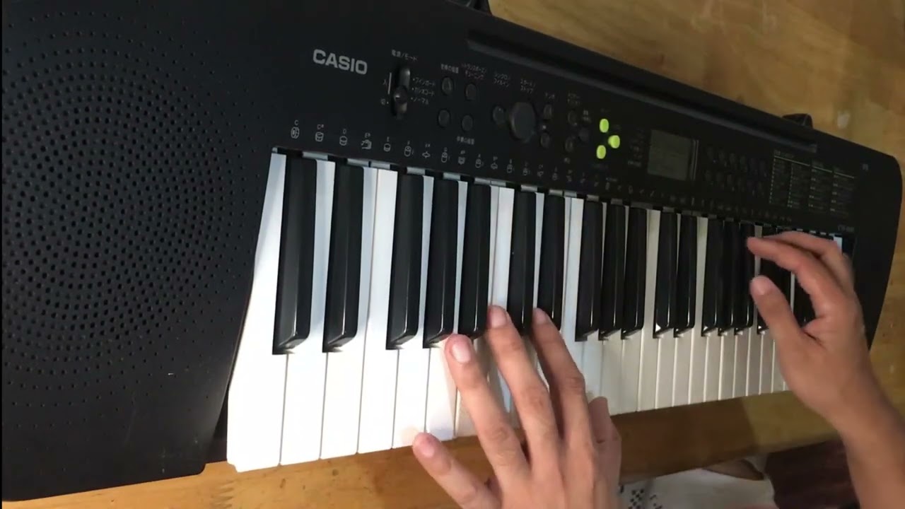The Sounds on this Keyboard Surprise Me! Amazing Casio CTK 240