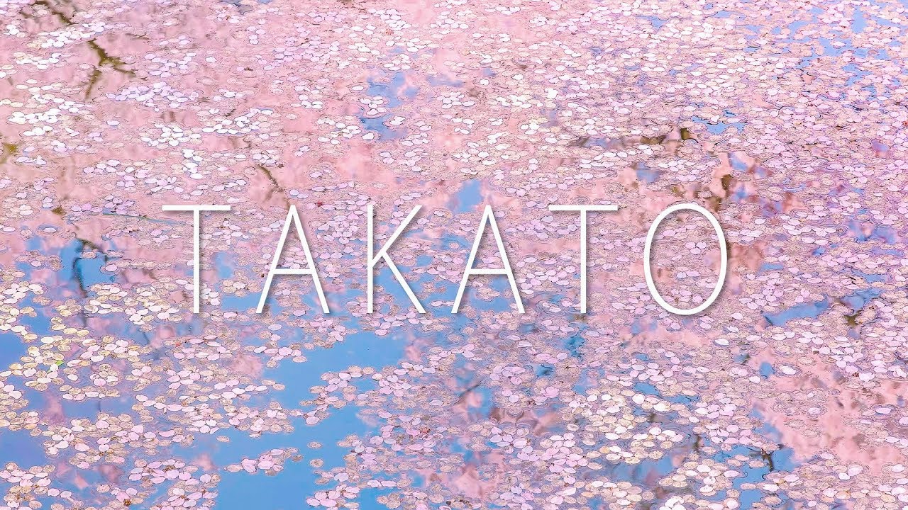 [ 4K UHD ] 高遠城址公園の桜 - Cherry Blossoms at Takato Castle Ruins Park - (shot on Samsung NX1)