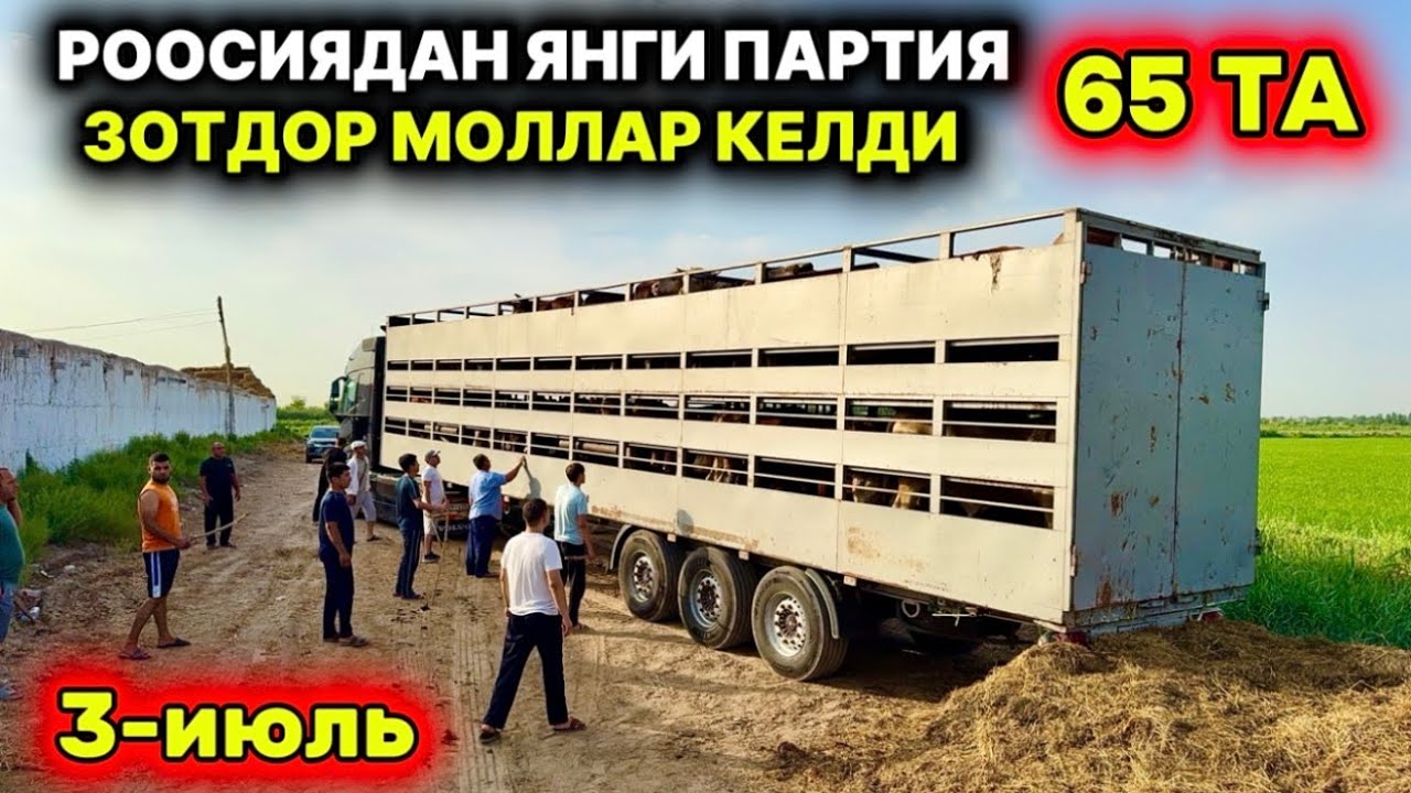 ЯНГИ ПАРТИЯ ЗОТДОР МОЛЛАР КЕЛДИ РОССИЯДАН. Урганч ғалаба 3-июль 2025 г.
