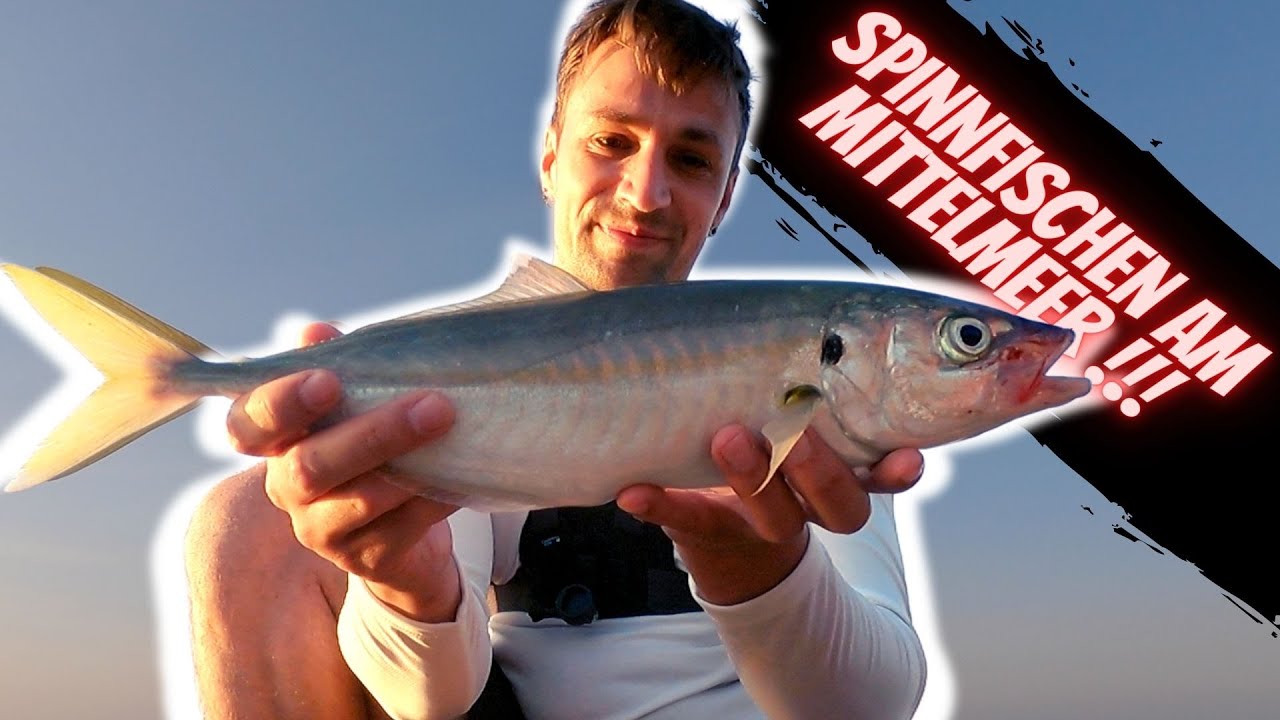 Angeln in Italien am Mittelmeer - Teil 1 Spinnfischen auf Sizilien