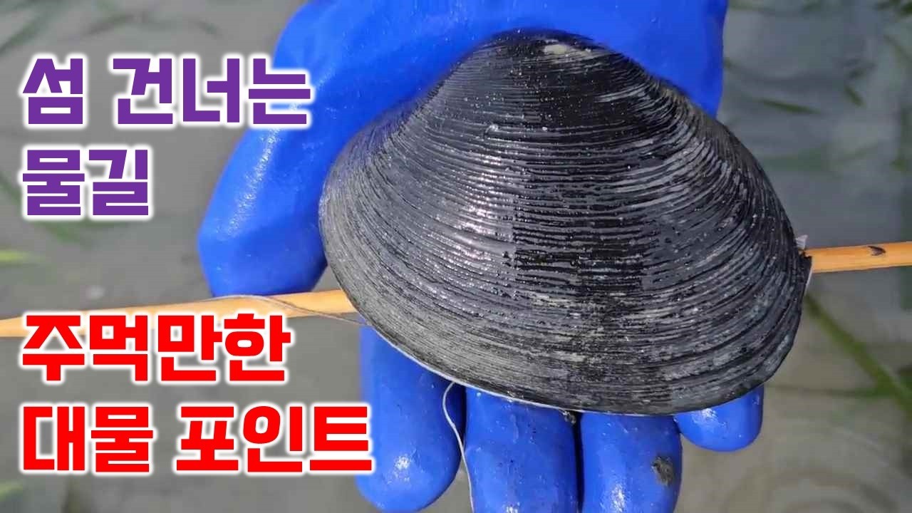 섬 건너는 물길 주먹만 한 대물 포인트