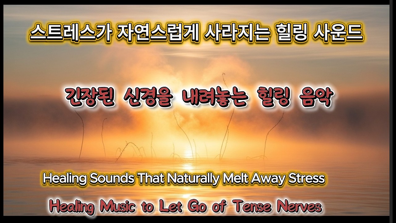 스트레스가 자연스럽게 사라지는 힐링 사운드 🌿 긴장된 신경을 내려놓는 힐링 음악