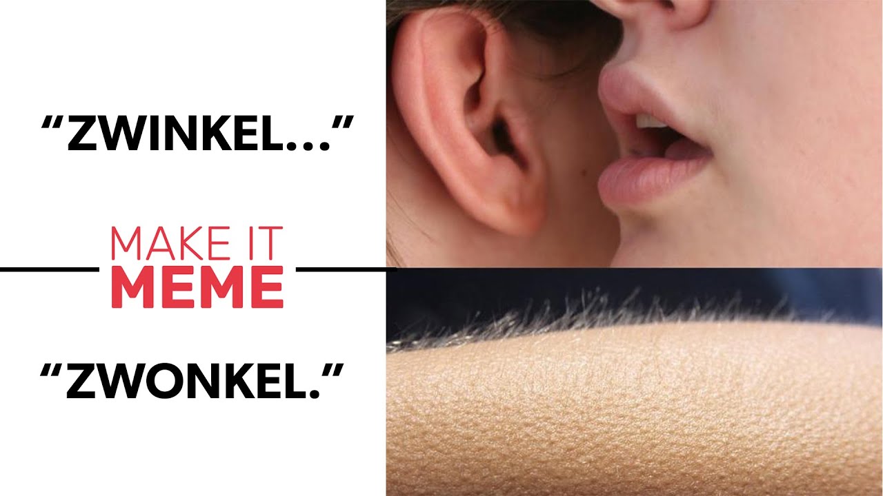 MEMES mit GÄNSEHAUTFAKTOR! | Make it Meme