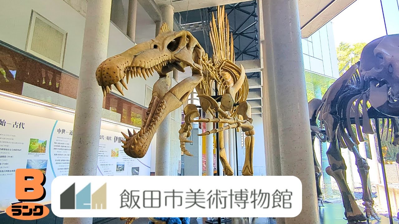【古生物スポット】飯田市美術博物館