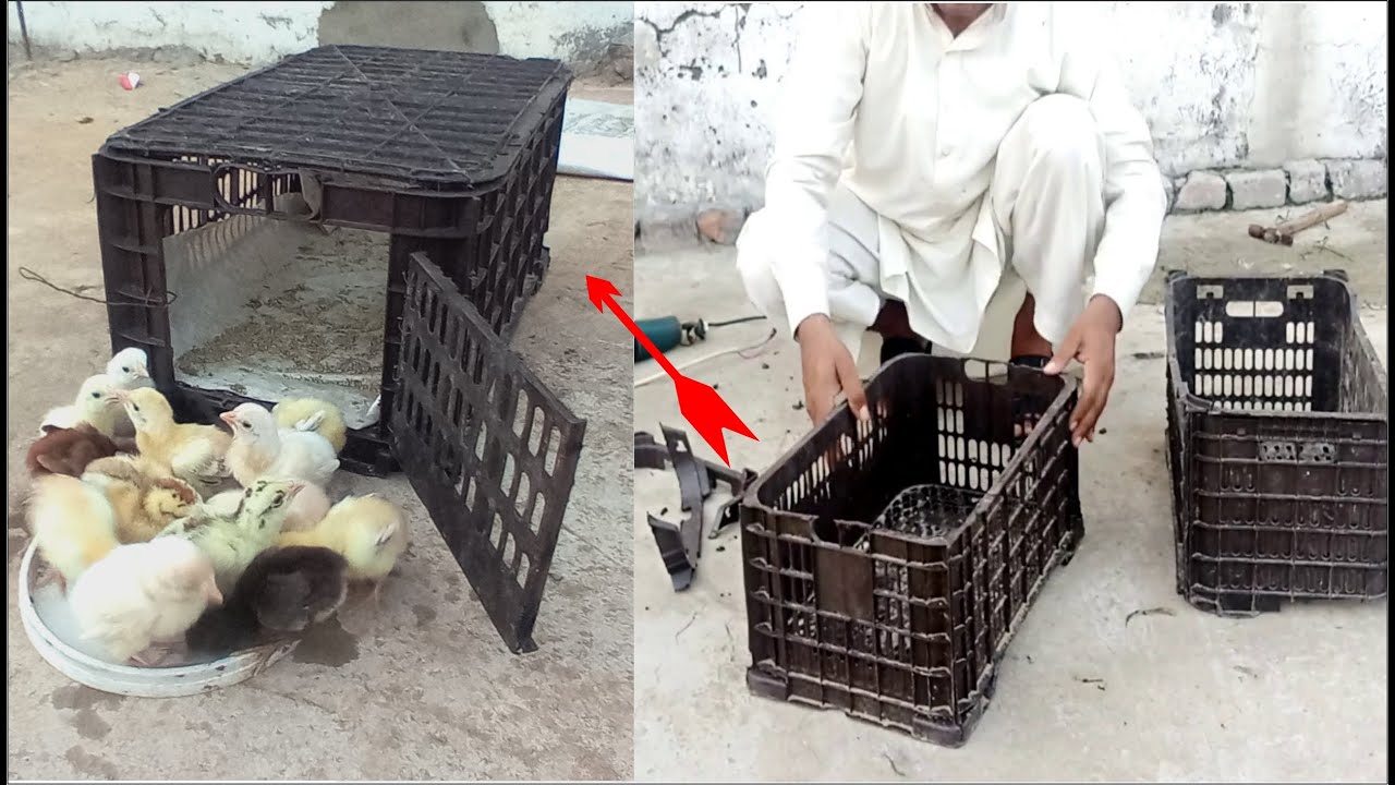 Amazing idea to make chicken Chicks cage with Plastic Crates | How to make Low cost cage Plastic