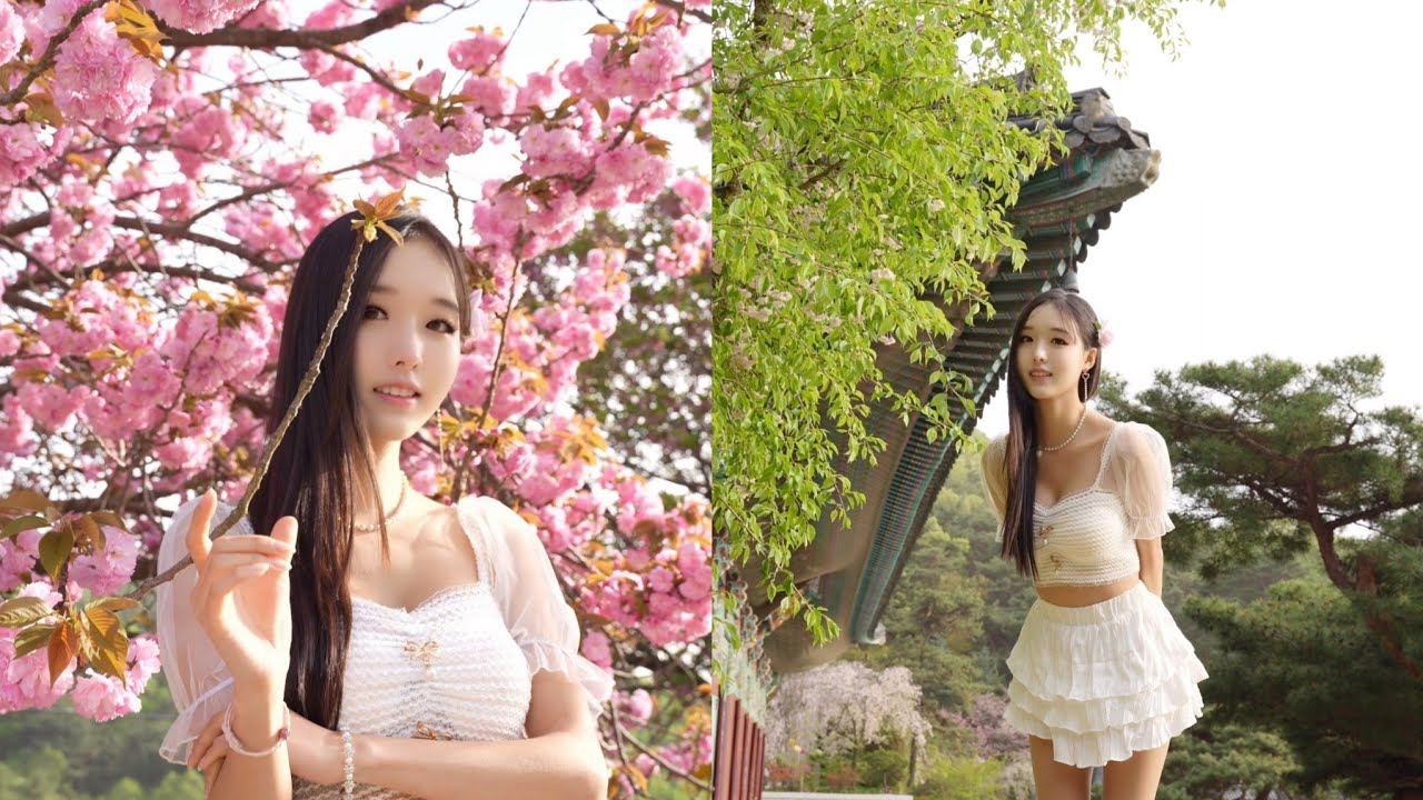올해도 겹벚꽃과 함께 Double Cherry Blossom whit GaonKim