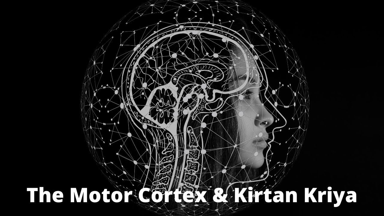 THE MOTOR CORTEX & KIRTAN KRIYA | PART 1