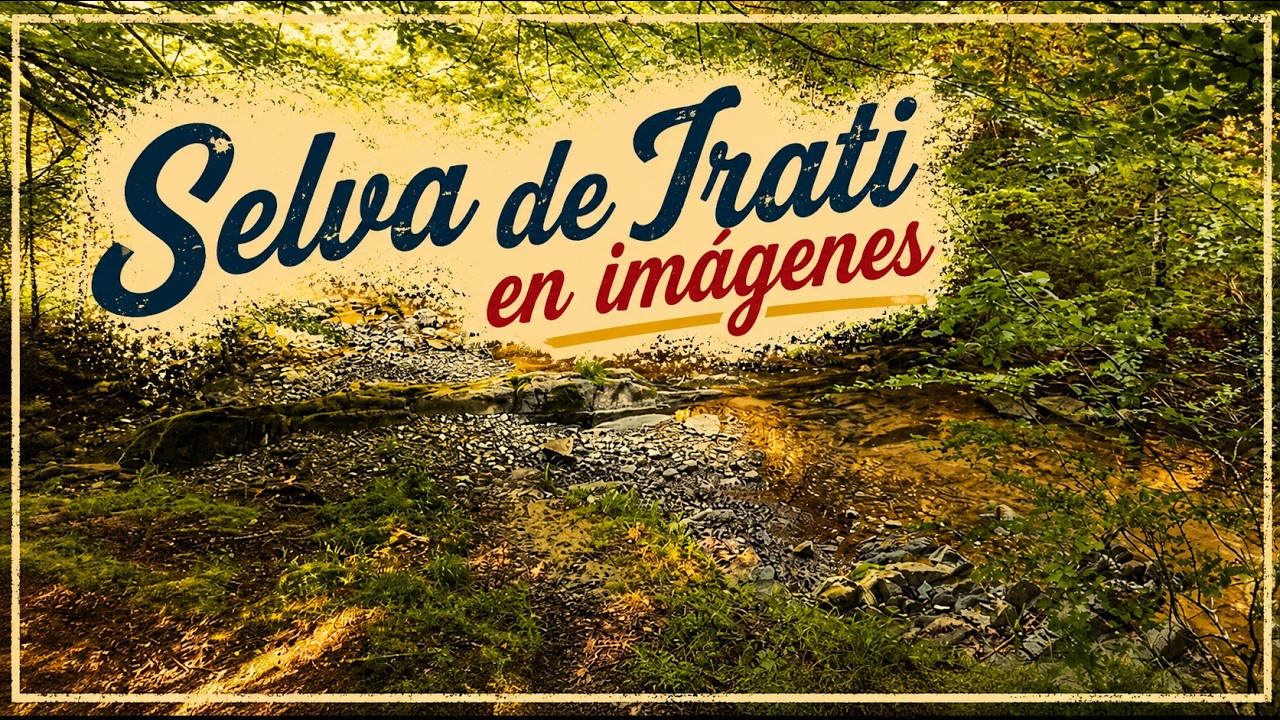📍 SELVA de IRATI en #NAVARRA 🌳 Uno de los BOSQUES más grandes y mágicos de #EUROPA