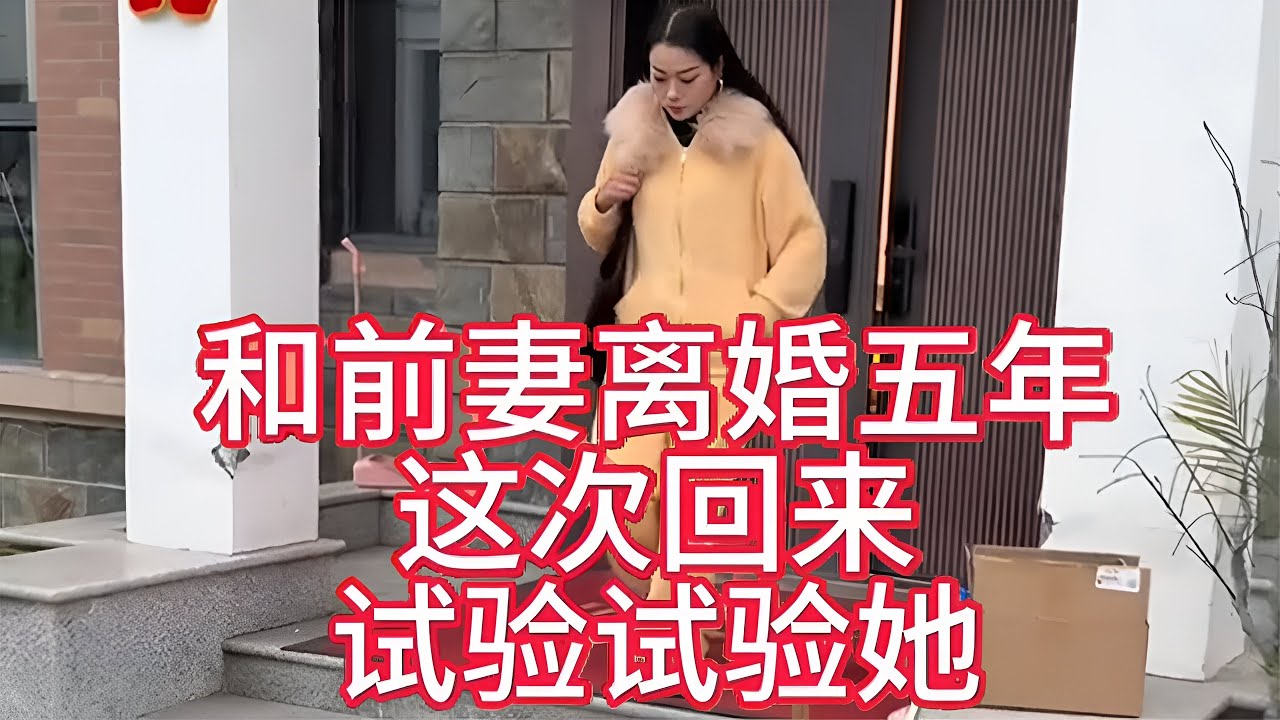离婚五年后，我决定再试一次前妻