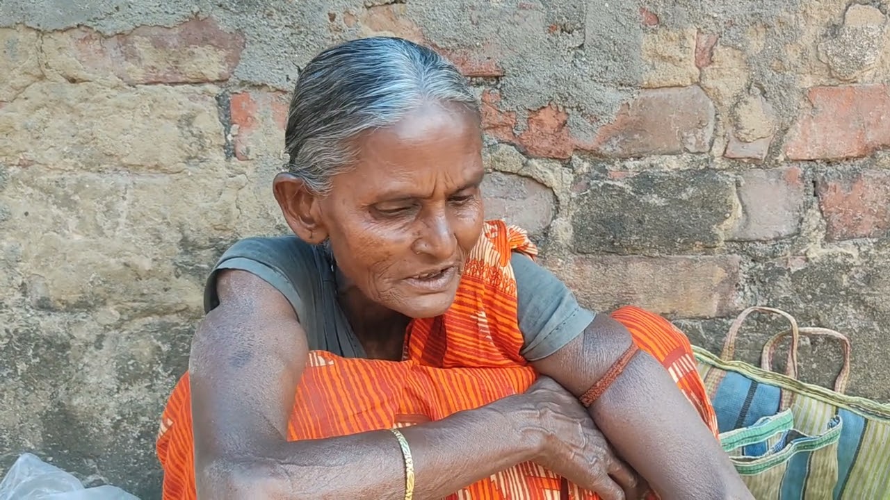 Ar ak Sobji Bikreta Masir Moner Katha | Naihati Ananda Bazar 
