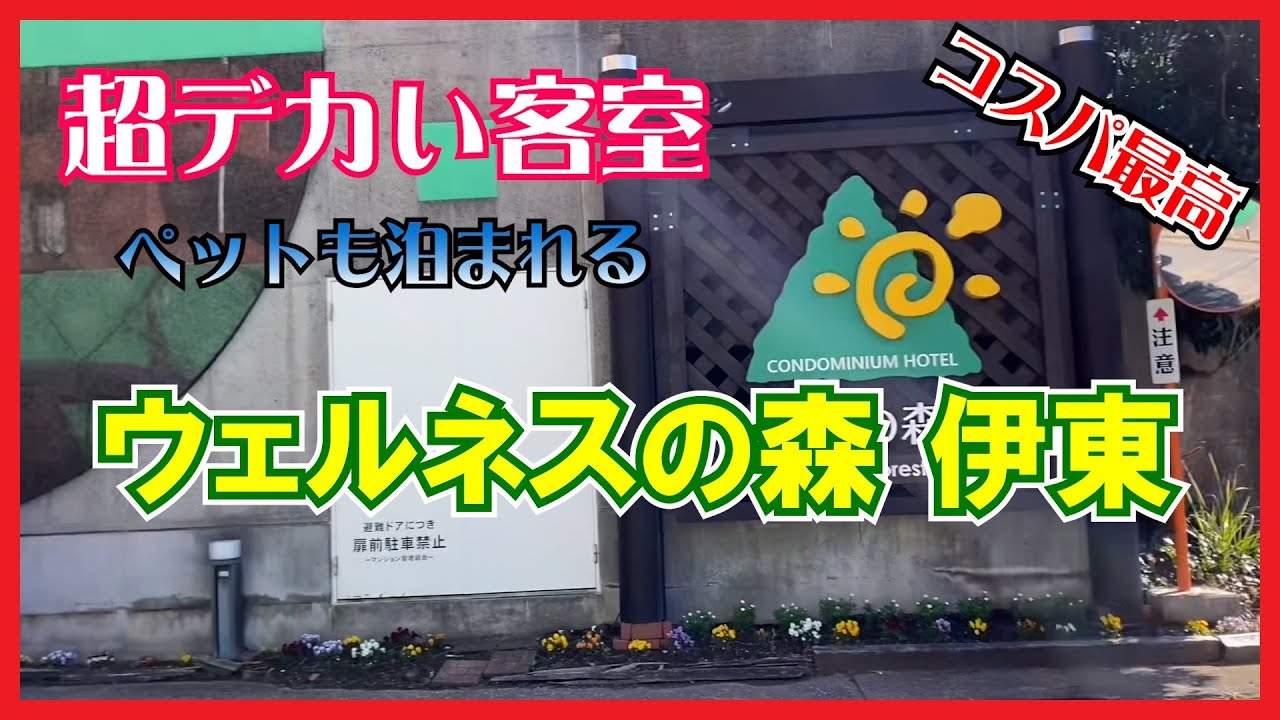 【食べ放題】超デカい客室 ウェルネスの森 伊東 ペットも泊まれる 共立リゾート【コスパ最高】