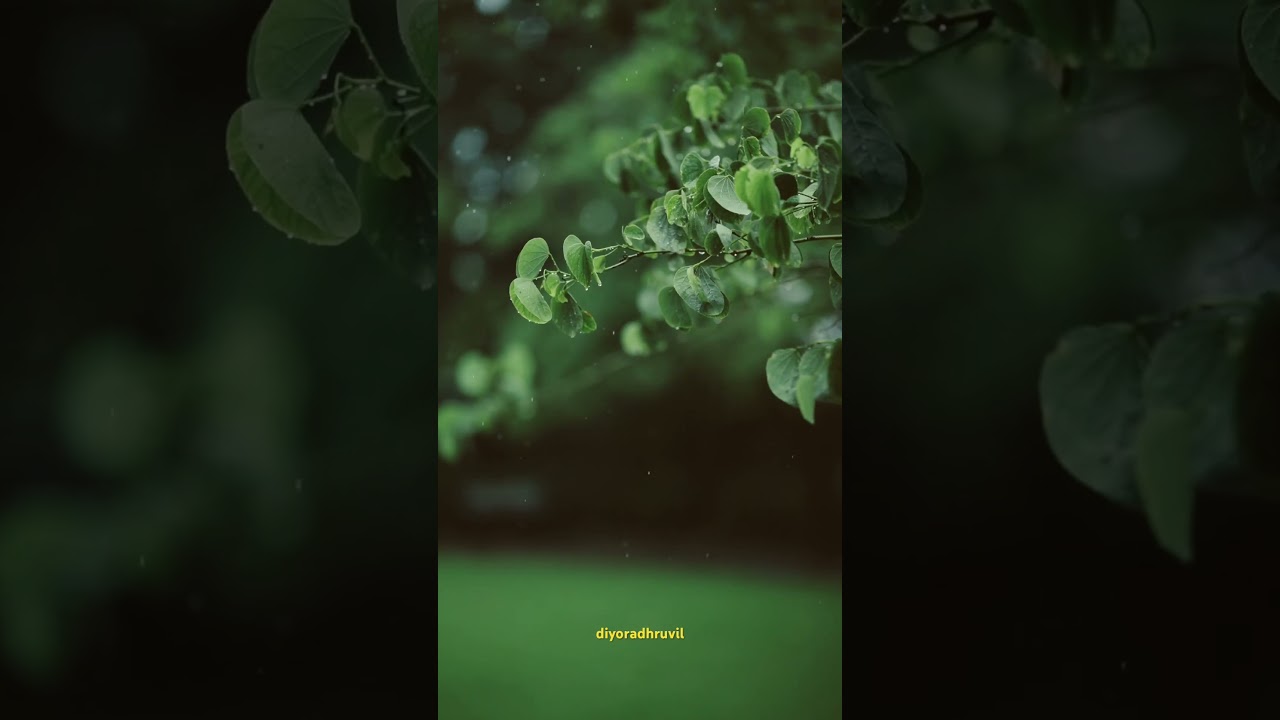 Barish | Rain Status | #suratrain  #surat  #suratvlog #rain #rainyday #rainsounds #monsoon #rainfall