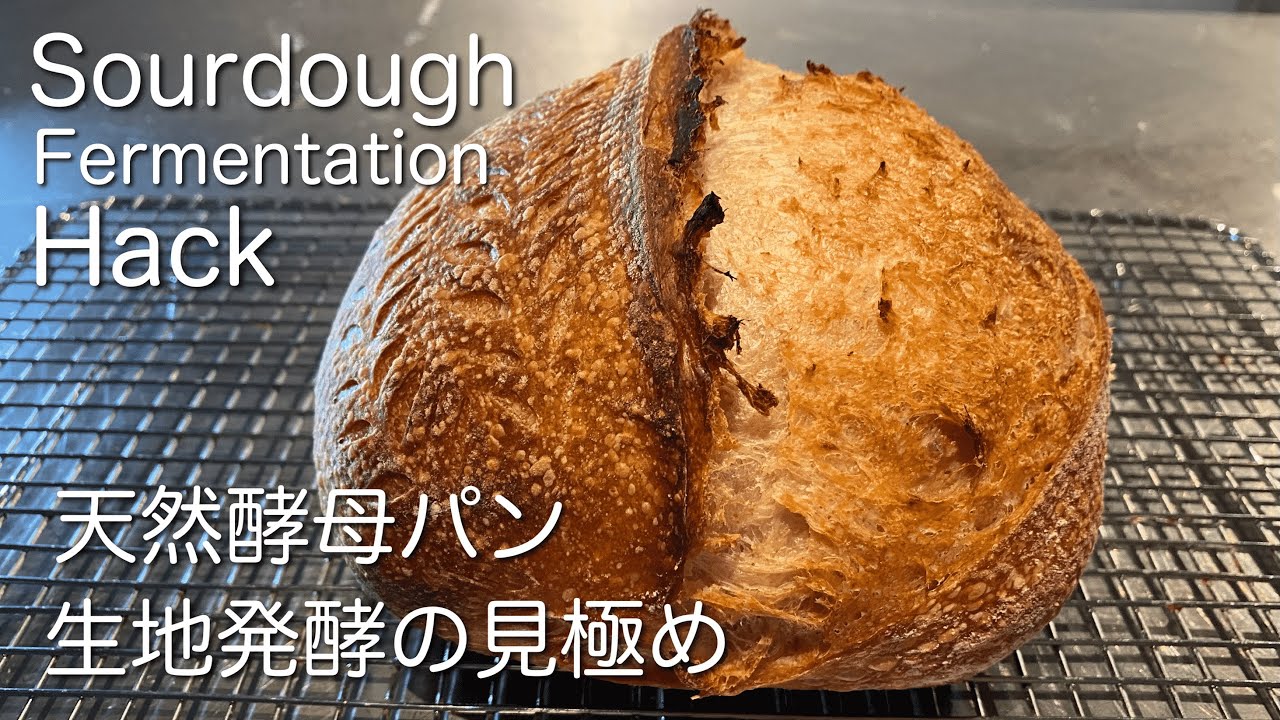 SUB) サワードウ・天然酵母パン生地一次発酵の見極め パンの発酵がうまくいく方法　Sourdough Bulk Fermentation  Avoid Over & Under Fermenting