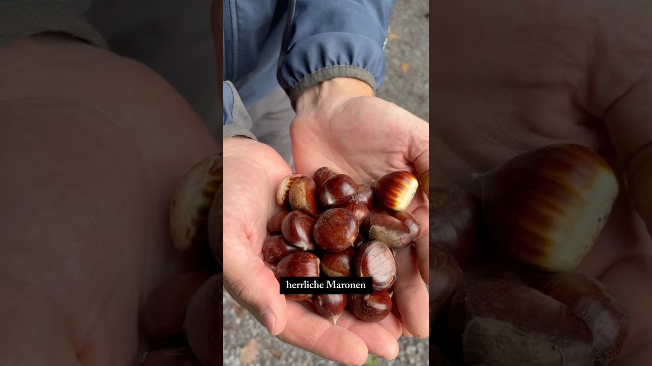 Throwbacks der Saison: Maronen 🌰❤️