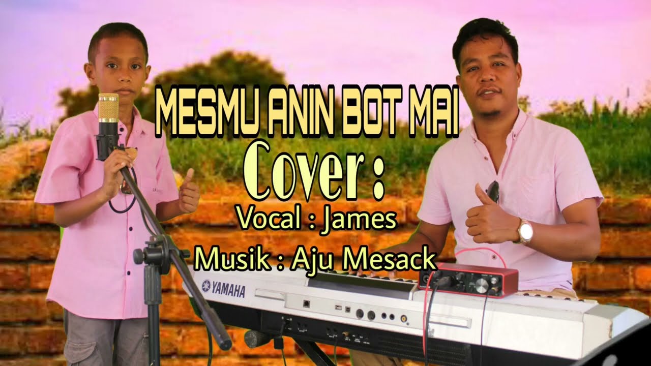 MESMU ANIN BOT MAI || Cover James Crisma