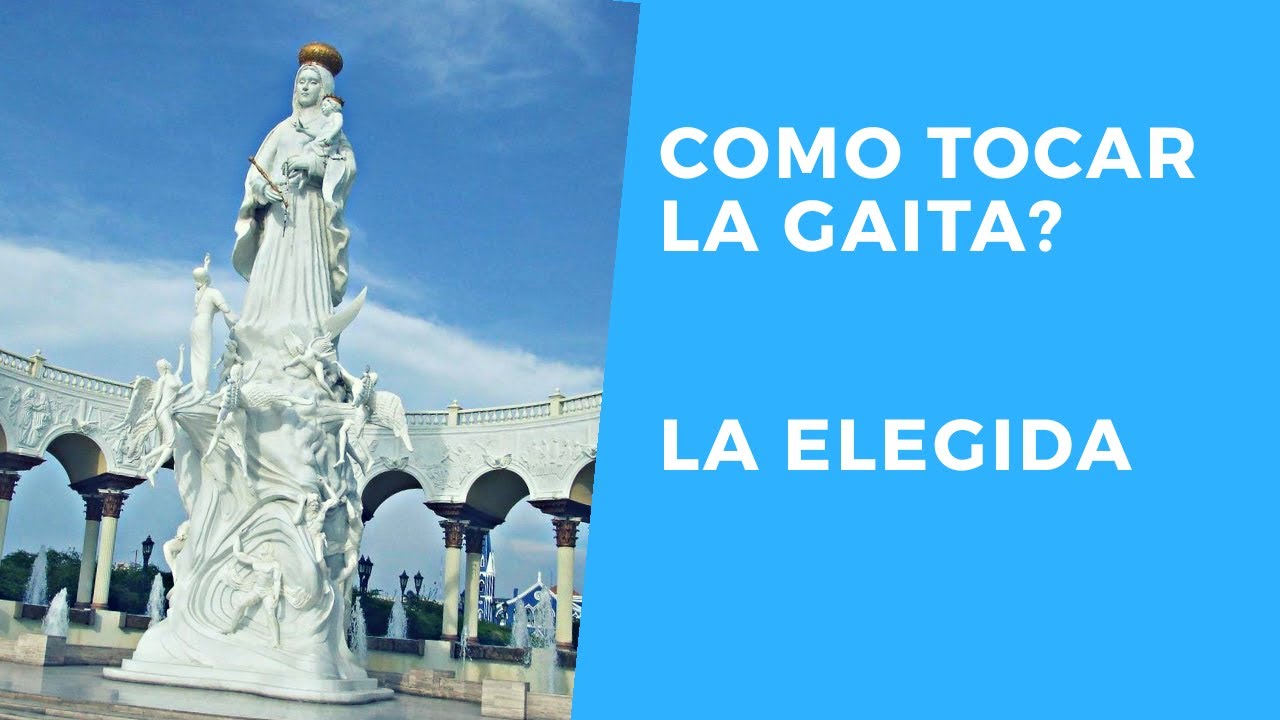 ACORDES DE LA ELEGIDA (APRENDE FACIL) PROFESIONAL
