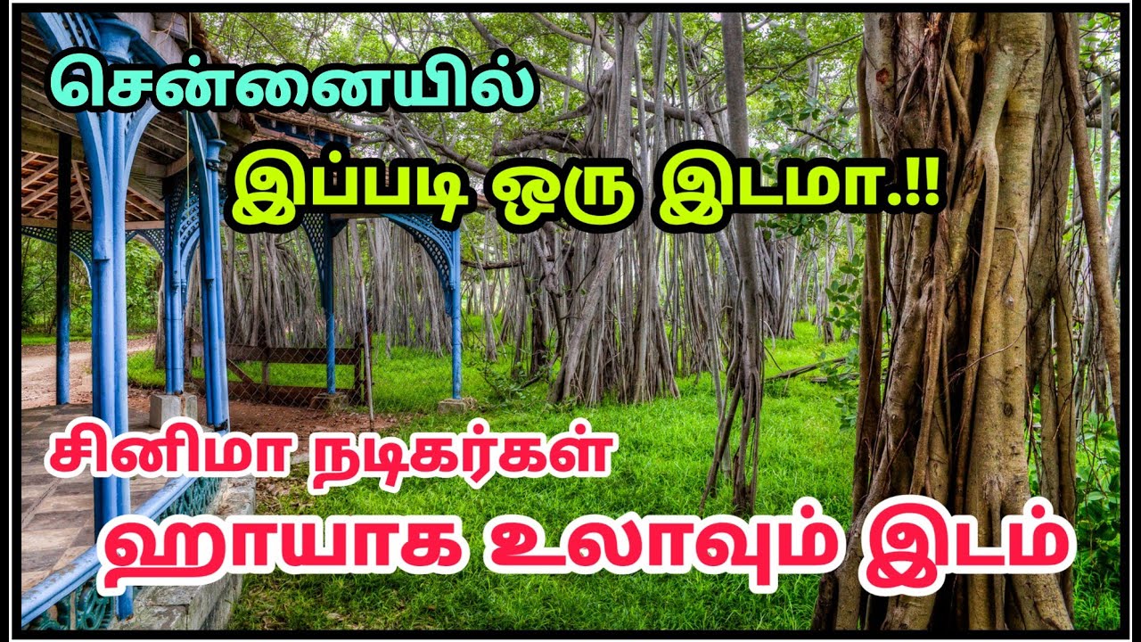 Theosophical Society Chennai - சென்னையில் இப்படி ஒரு இடமா..