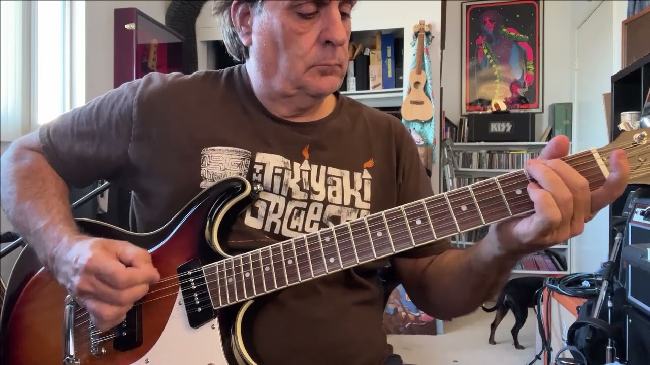 New Guitar Day. Eastwood Sidejack 12 string