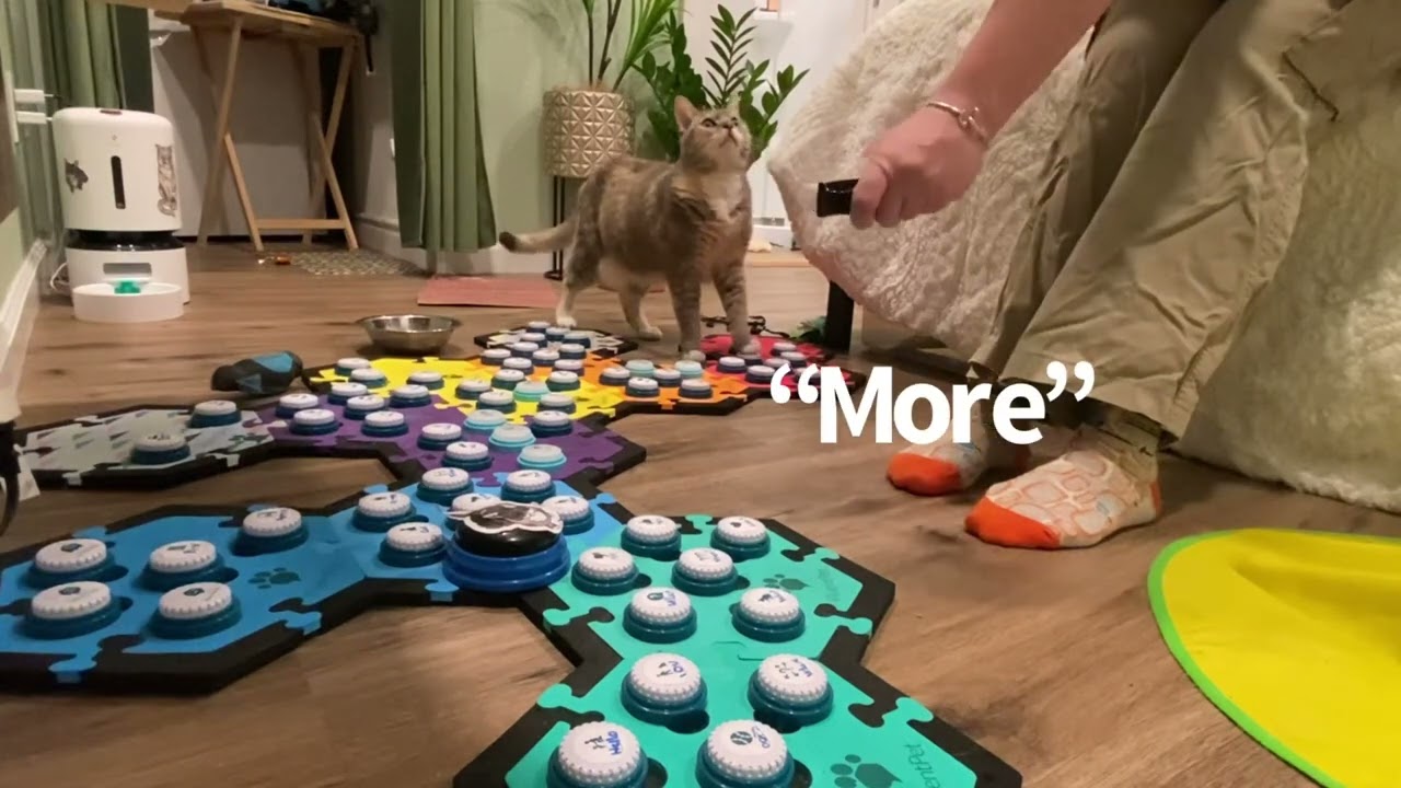 The Buttons Augment Nonverbal Communication | BilliSpeaks
