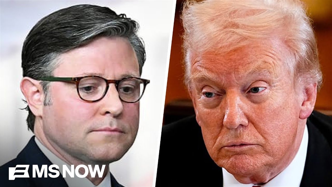 Tariff decision is opportunity for Congress to 'reassert itself' as equal branch: Dem Rep.