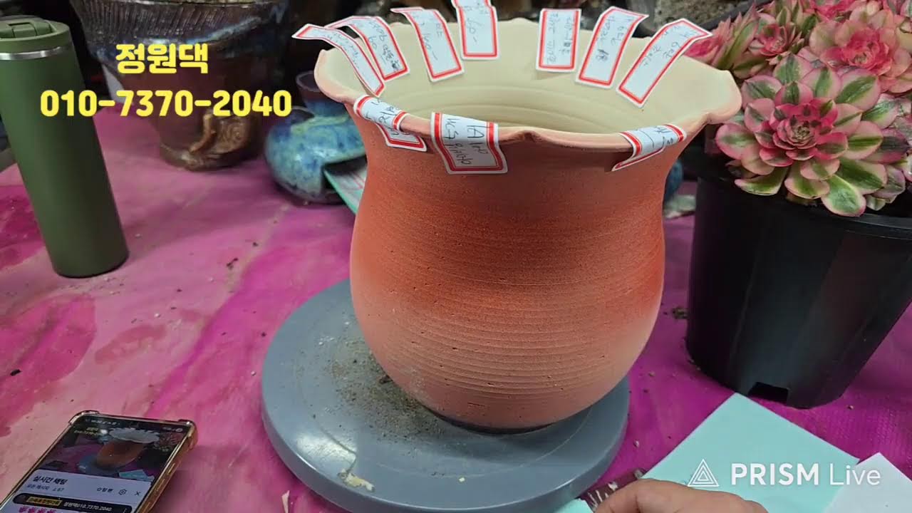 속초 정원다육 정원댁010.7370.2040